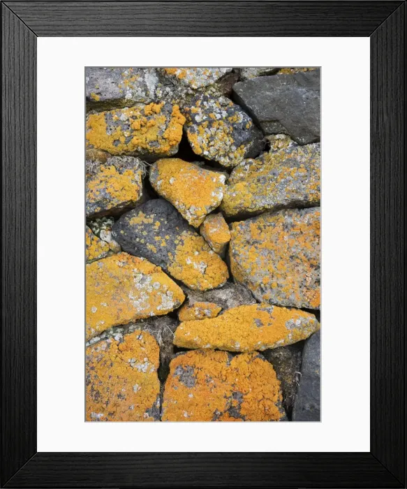 Framed Print : Picture No. 11014717 Framed Print : Picture No. 11014717