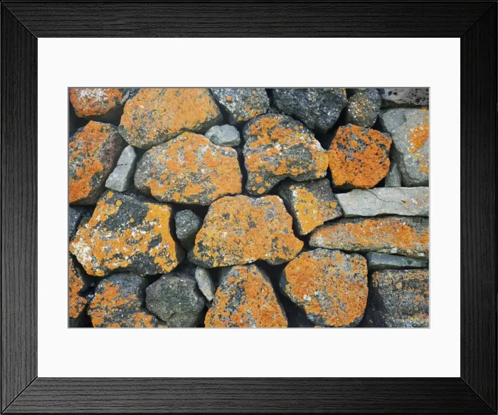 Framed Print : Picture No. 11014718 Framed Print : Picture No. 11014718
