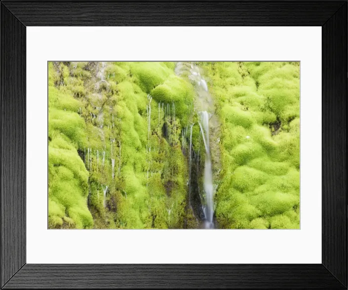 Framed Print : Picture No. 11014719 Framed Print : Picture No. 11014719