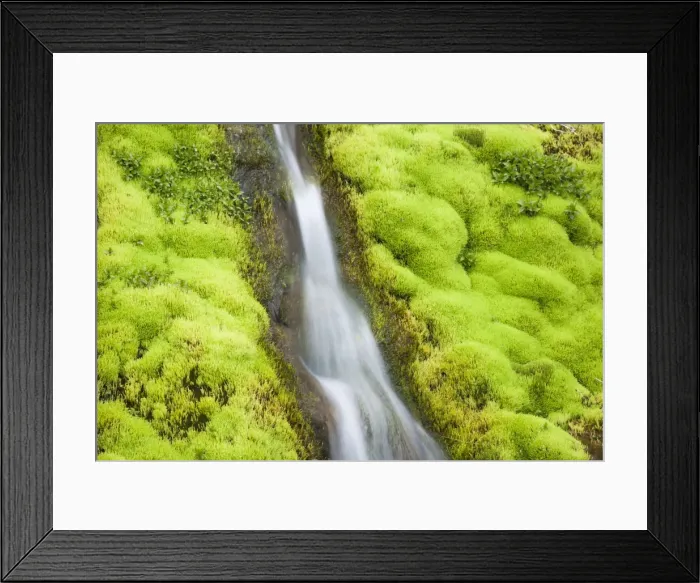 Framed Print : Picture No. 11014720 Framed Print : Picture No. 11014720