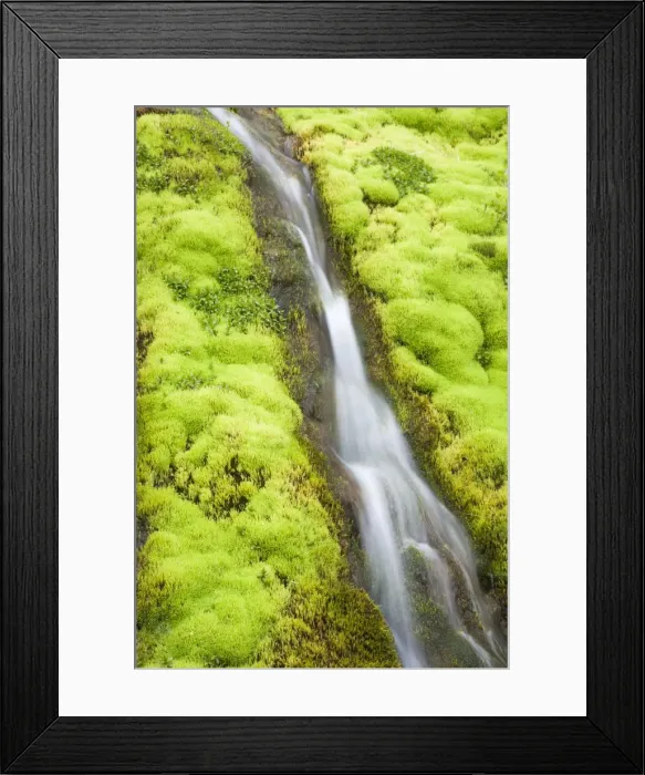 Framed Print : Picture No. 11014721 Framed Print : Picture No. 11014721