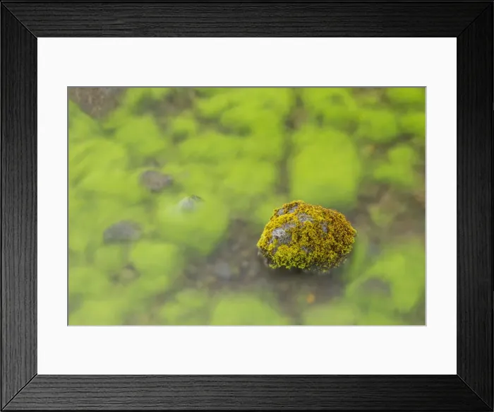 Framed Print : Picture No. 11014730 Framed Print : Picture No. 11014730