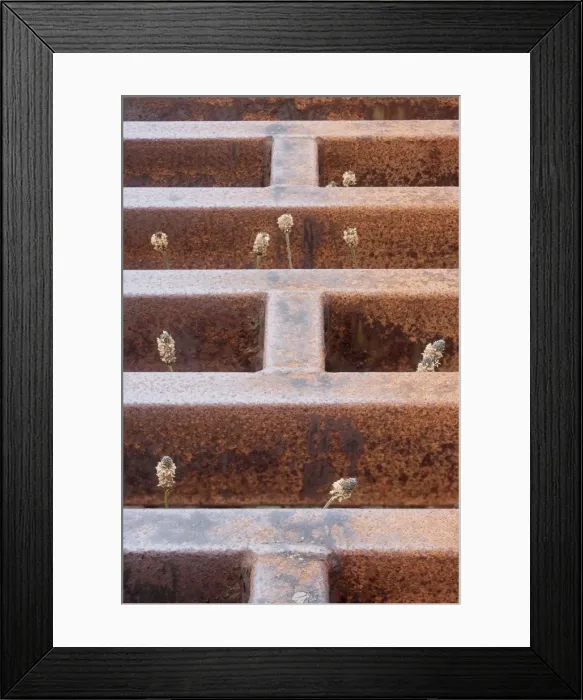 Framed Print : Picture No. 11014734 Framed Print : Picture No. 11014734