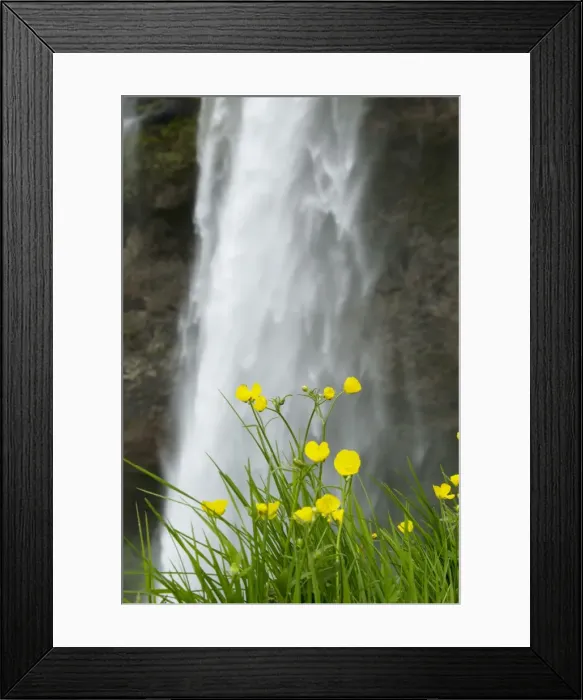 Framed Print : Picture No. 11014741 Framed Print : Picture No. 11014741