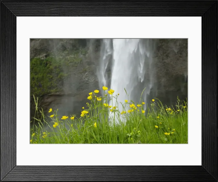 Framed Print : Picture No. 11014740 Framed Print : Picture No. 11014740