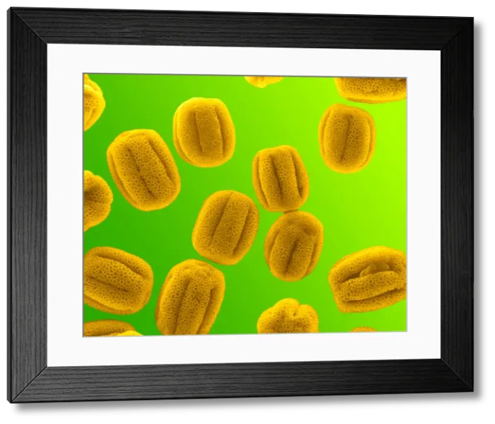 Framed Print : Picture No. 11014610 Framed Print : Picture No. 11014610