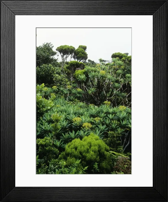 Framed Print : Picture No. 11013622 Framed Print : Picture No. 11013622