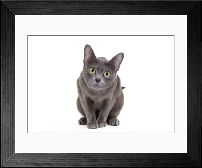 Framed Print : Picture No. 11014251 Framed Print : Picture No. 11014251