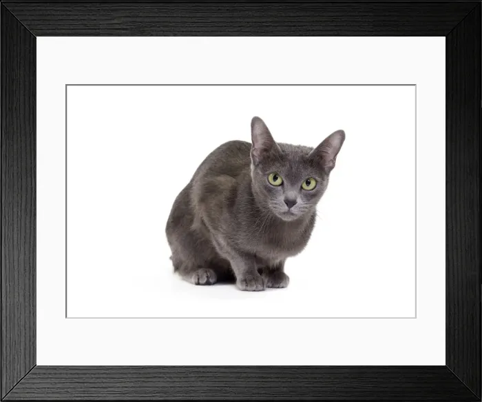 Framed Print : Picture No. 11014252 Framed Print : Picture No. 11014252
