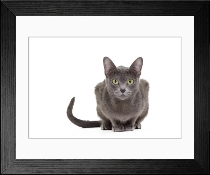 Framed Print : Picture No. 11014255 Framed Print : Picture No. 11014255