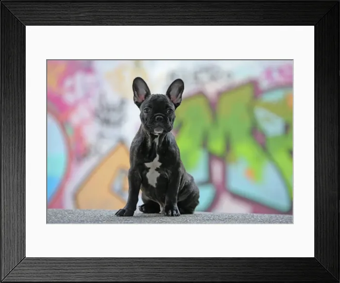 Framed Print : Picture No. 11014276 Framed Print : Picture No. 11014276