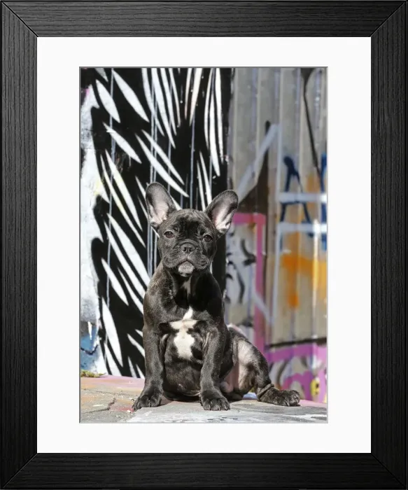 Framed Print : Picture No. 11014278 Framed Print : Picture No. 11014278