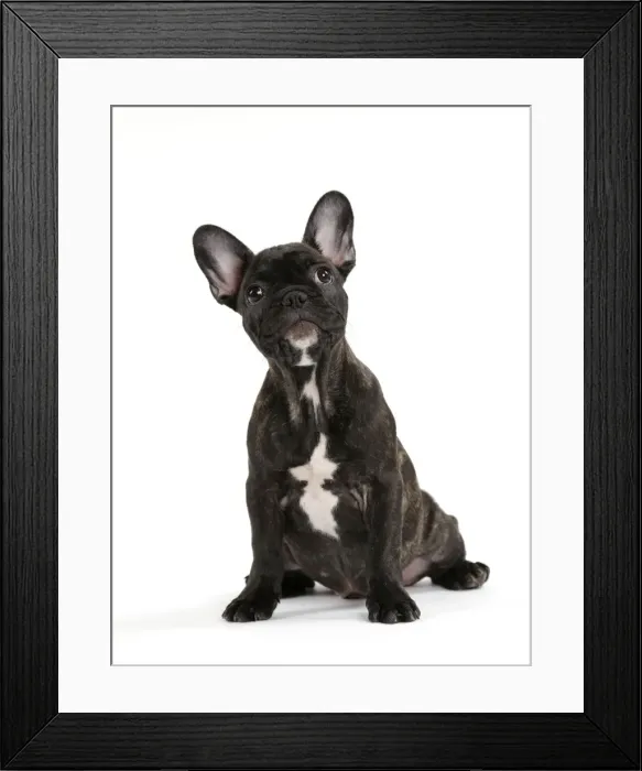 Framed Print : Picture No. 11014281 Framed Print : Picture No. 11014281