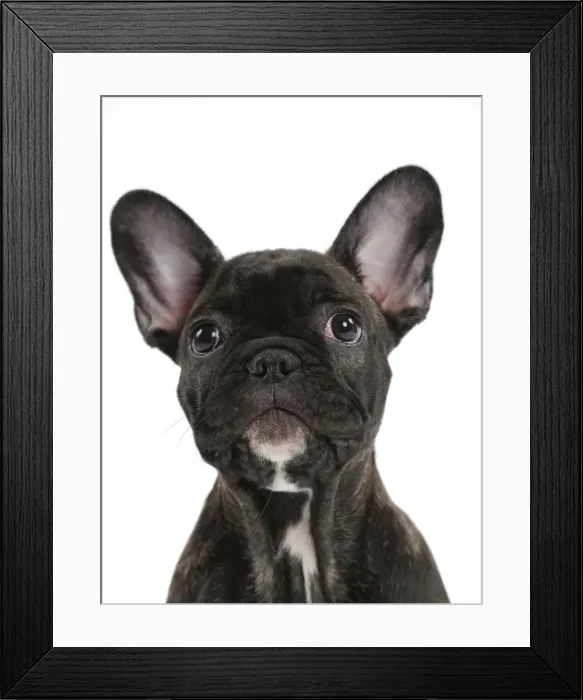 Framed Print : Picture No. 11014286 Framed Print : Picture No. 11014286