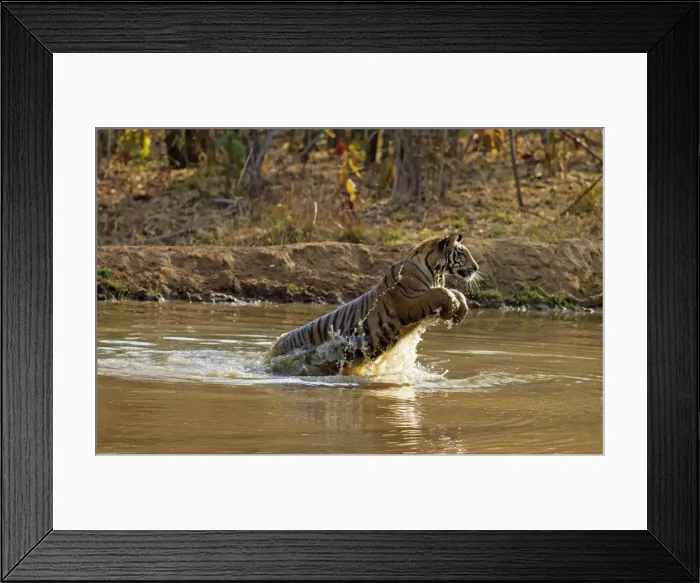 Framed Print : Picture No. 11014580 Framed Print : Picture No. 11014580