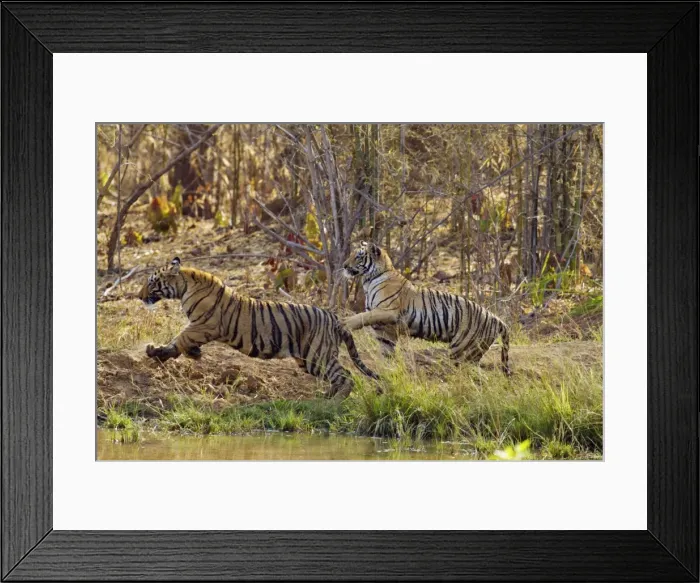 Framed Print : Picture No. 11014582 Framed Print : Picture No. 11014582
