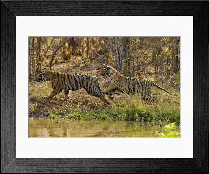Framed Print : Picture No. 11014583 Framed Print : Picture No. 11014583