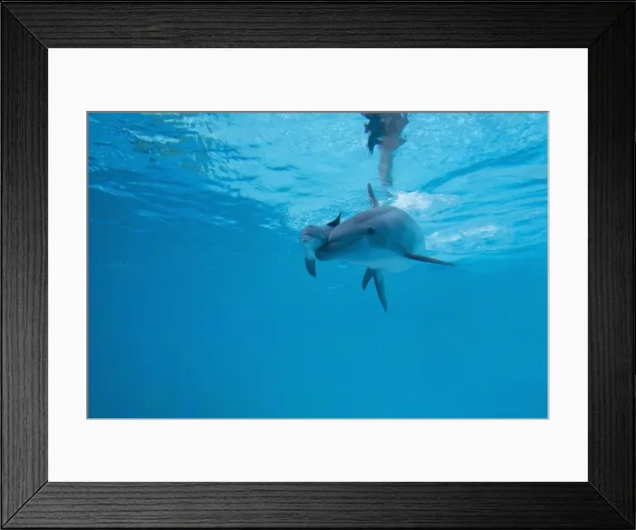 Framed Print : Picture No. 11014570 Framed Print : Picture No. 11014570