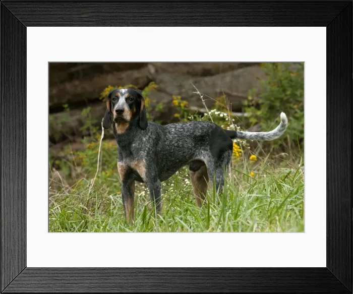 Framed Print : Picture No. 11050013 Framed Print : Picture No. 11050013