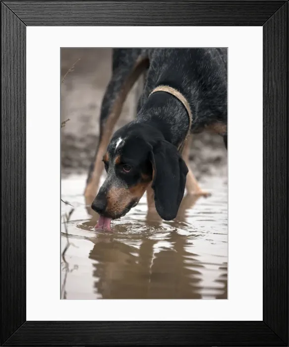 Framed Print : Picture No. 11050014 Framed Print : Picture No. 11050014