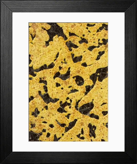 Framed Print : Picture No. 11050049 Framed Print : Picture No. 11050049
