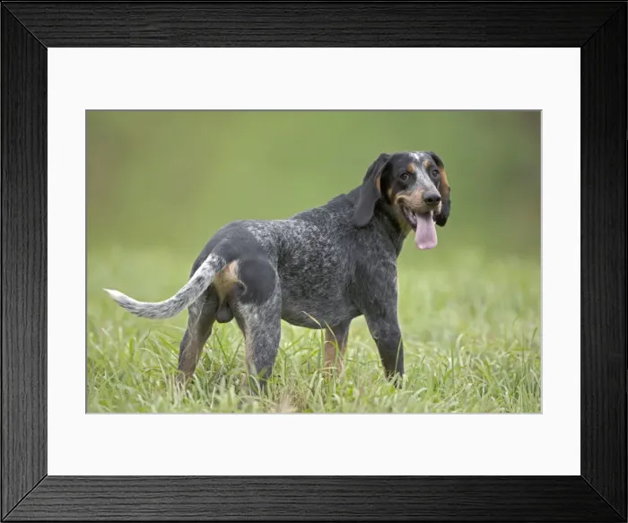 Framed Print : Picture No. 11050083 Framed Print : Picture No. 11050083