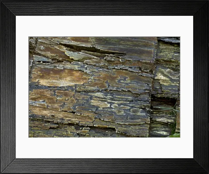Framed Print : Picture No. 11050097 Framed Print : Picture No. 11050097