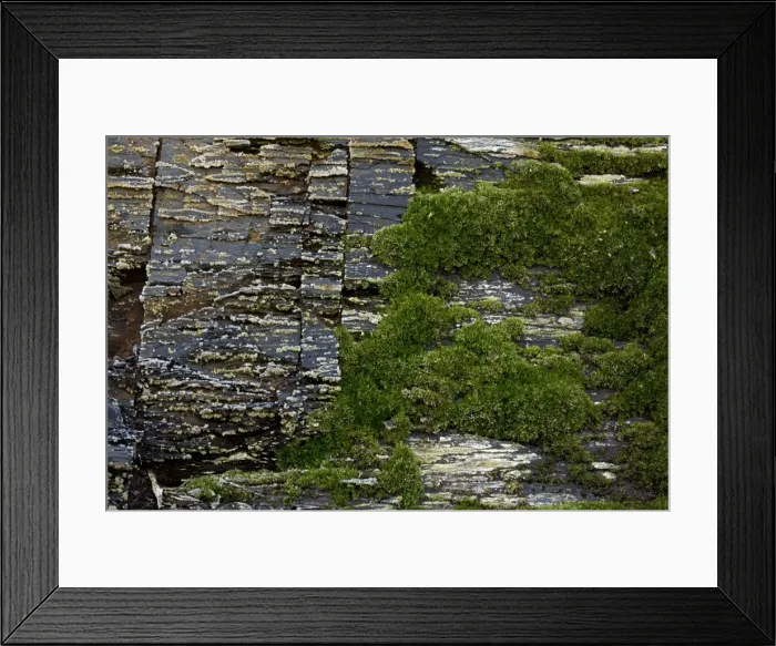 Framed Print : Picture No. 11050098 Framed Print : Picture No. 11050098