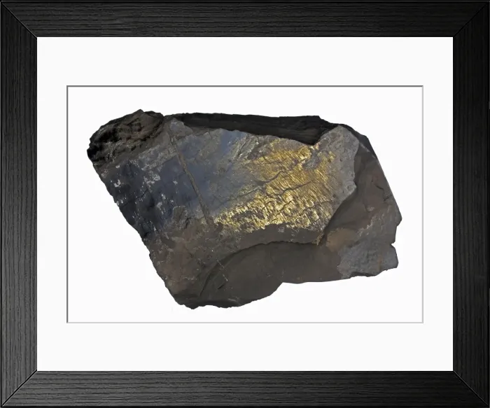 Framed Print : Picture No. 11050100 Framed Print : Picture No. 11050100