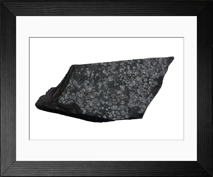 Framed Print : Picture No. 11050103 Framed Print : Picture No. 11050103