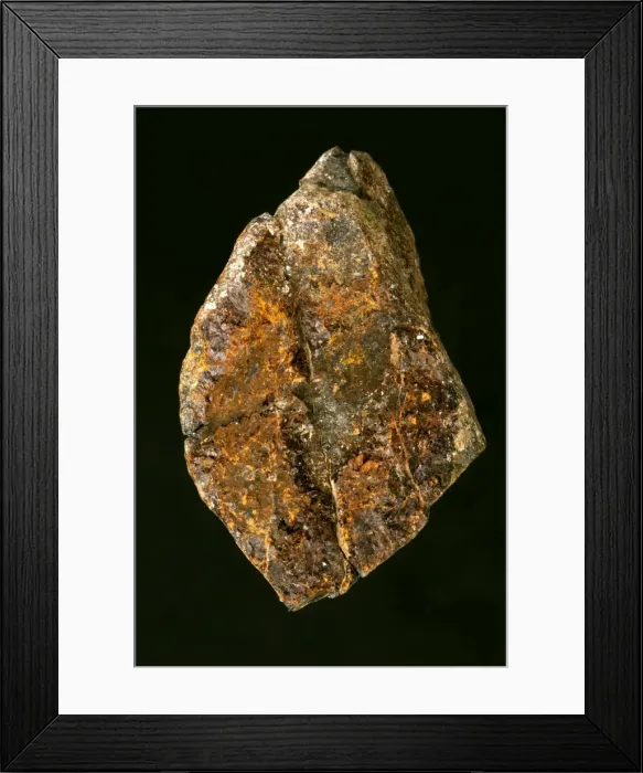 Framed Print : Picture No. 11050111 Framed Print : Picture No. 11050111