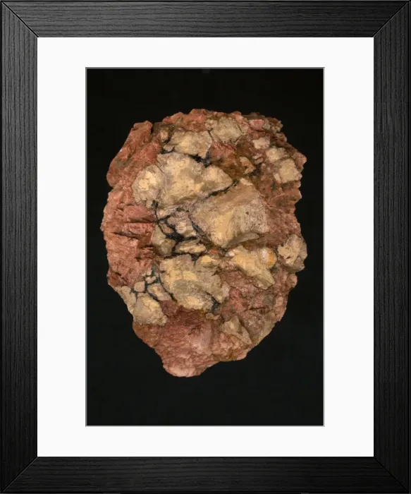 Framed Print : Picture No. 11050112 Framed Print : Picture No. 11050112