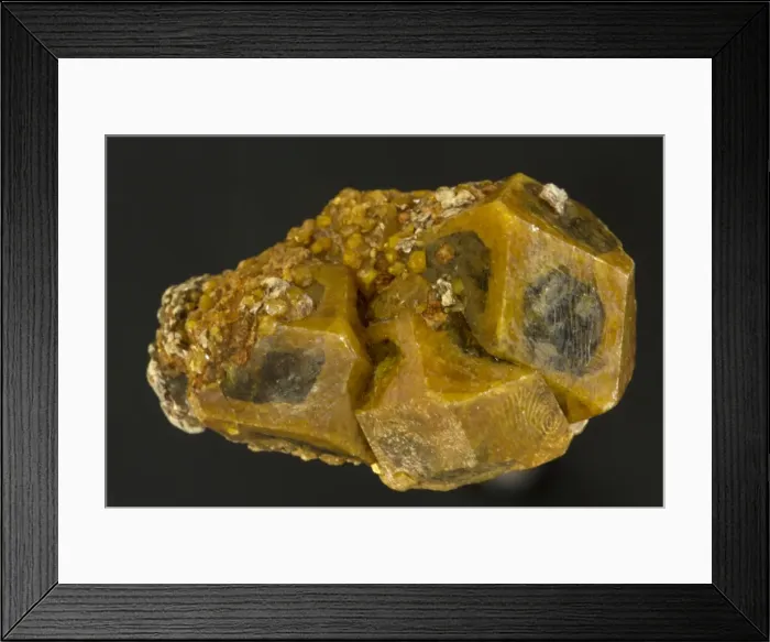 Framed Print : Picture No. 11050114 Framed Print : Picture No. 11050114