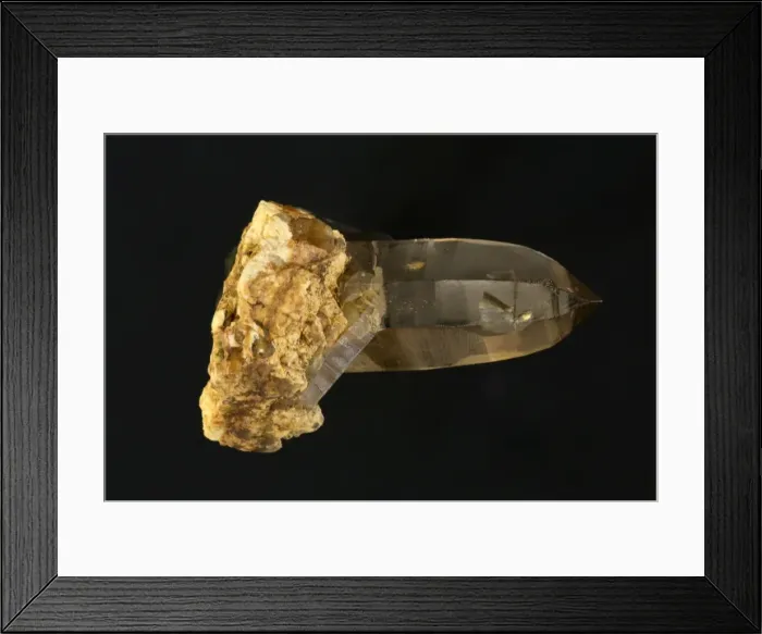 Framed Print : Picture No. 11050116 Framed Print : Picture No. 11050116