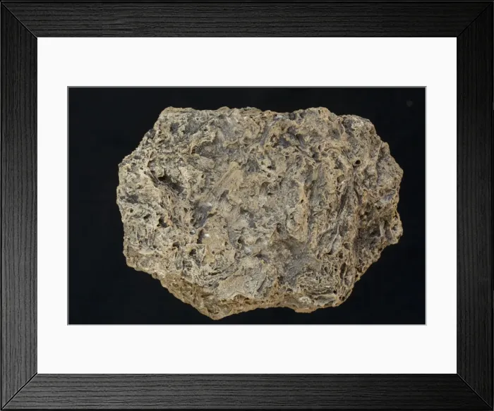 Framed Print : Picture No. 11050129 Framed Print : Picture No. 11050129