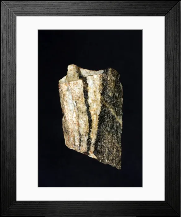 Framed Print : Picture No. 11050132 Framed Print : Picture No. 11050132