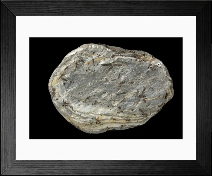 Framed Print : Picture No. 11050133 Framed Print : Picture No. 11050133