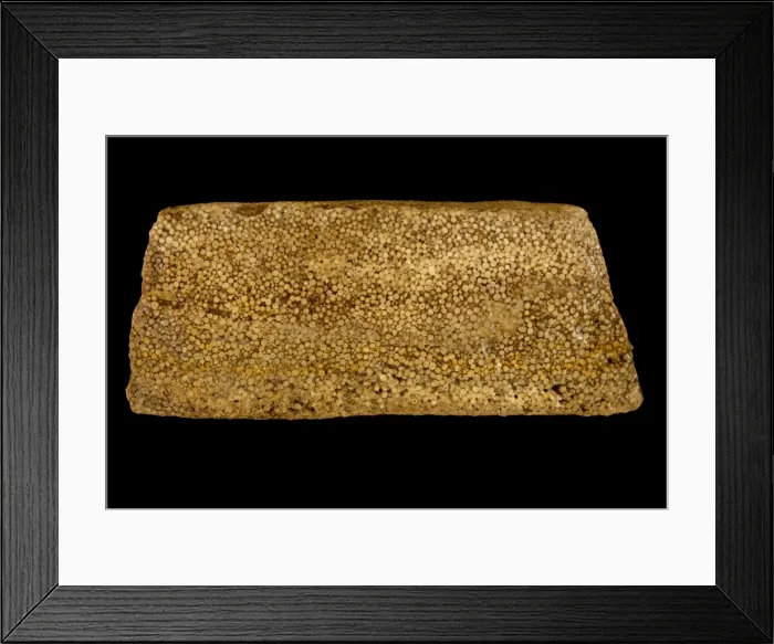 Framed Print : Picture No. 11050136 Framed Print : Picture No. 11050136