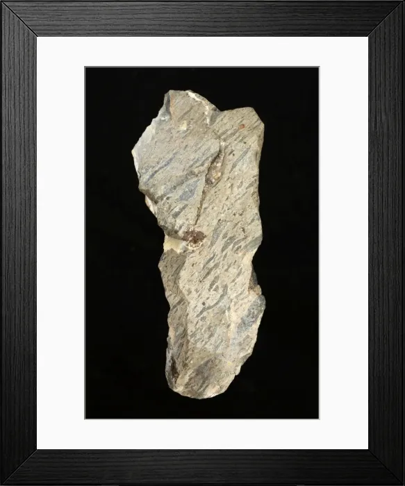 Framed Print : Picture No. 11050143 Framed Print : Picture No. 11050143