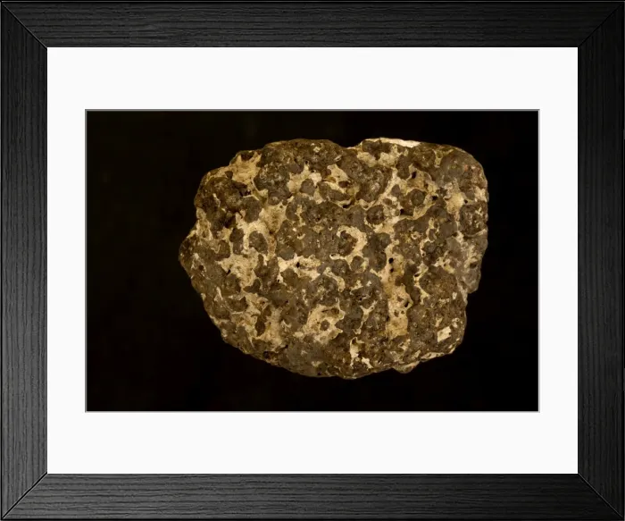 Framed Print : Picture No. 11050153 Framed Print : Picture No. 11050153