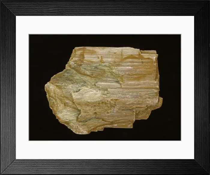 Framed Print : Picture No. 11050155 Framed Print : Picture No. 11050155