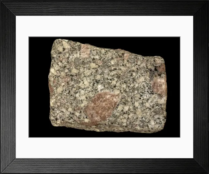 Framed Print : Picture No. 11050156