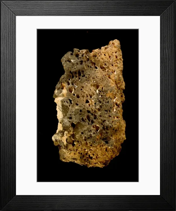 Framed Print : Picture No. 11050162 Framed Print : Picture No. 11050162