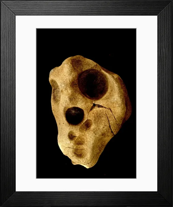 Framed Print : Picture No. 11050164 Framed Print : Picture No. 11050164