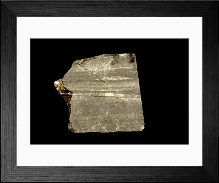Framed Print : Picture No. 11050165