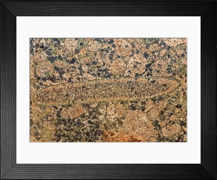 Framed Print : Picture No. 11050166 Framed Print : Picture No. 11050166