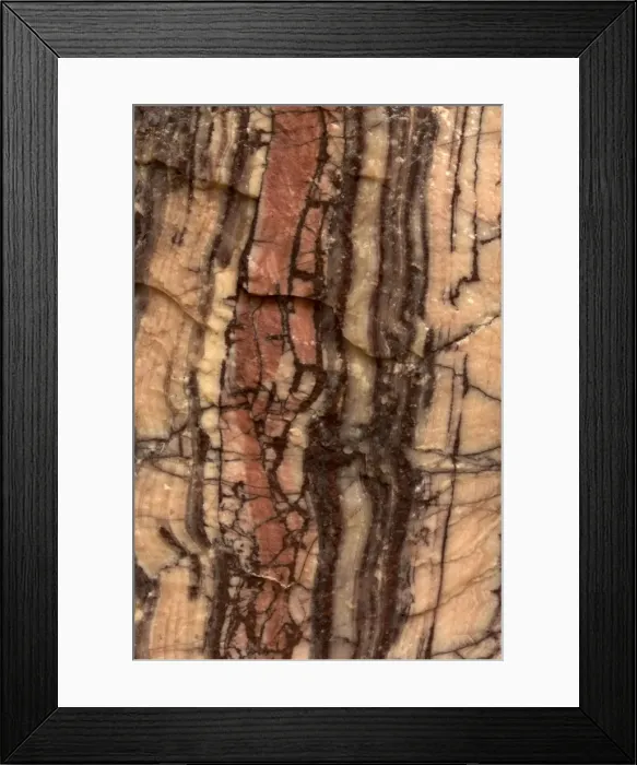 Framed Print : Picture No. 11050167 Framed Print : Picture No. 11050167
