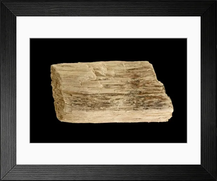 Framed Print : Picture No. 11050168 Framed Print : Picture No. 11050168