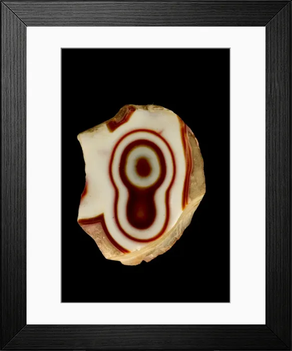 Framed Print : Picture No. 11050170 Framed Print : Picture No. 11050170