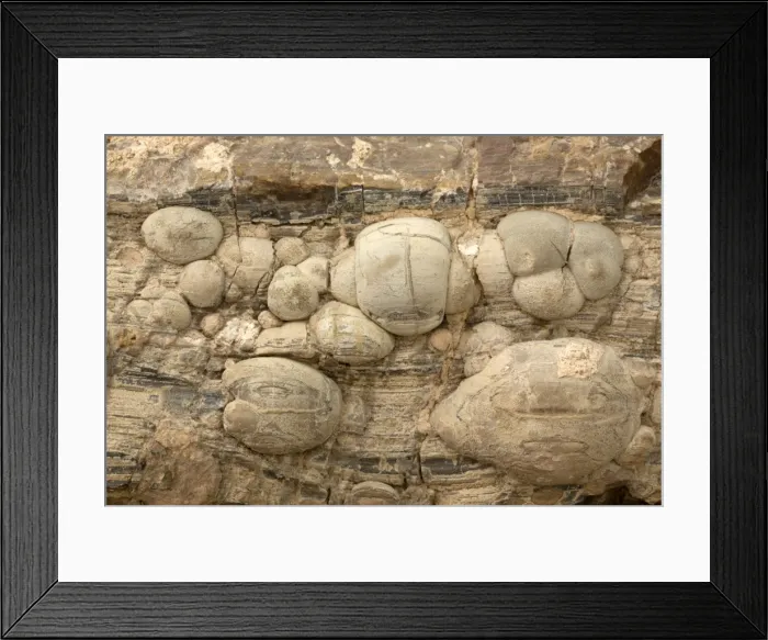 Framed Print : Picture No. 11050171 Framed Print : Picture No. 11050171